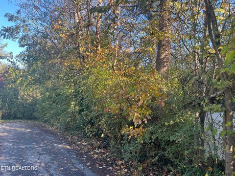 Photo of 2917 Brooks Ave, Knoxville, TN 37914 (MLS # 1320915)