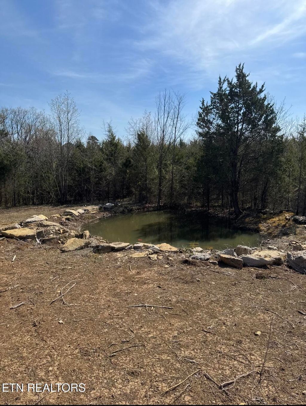 Photo of 000 Silver City Rd, Whitesburg, TN 37891 (MLS # 1335989)