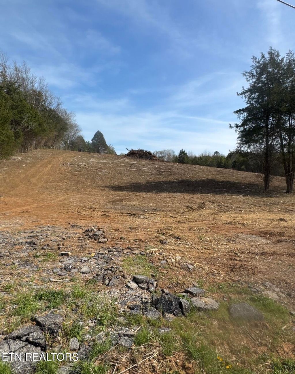Photo of 000 Silver City Rd, Whitesburg, TN 37891 (MLS # 1335989)