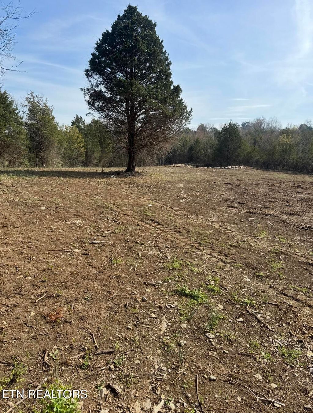 Photo of 000 Silver City Rd, Whitesburg, TN 37891 (MLS # 1335989)