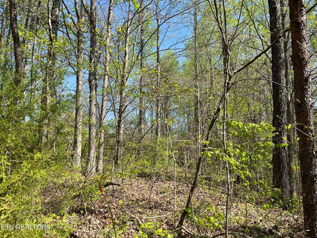 Photo of 101 Fairview Rd, Tellico Plains, TN 37385 (MLS # 1297231)