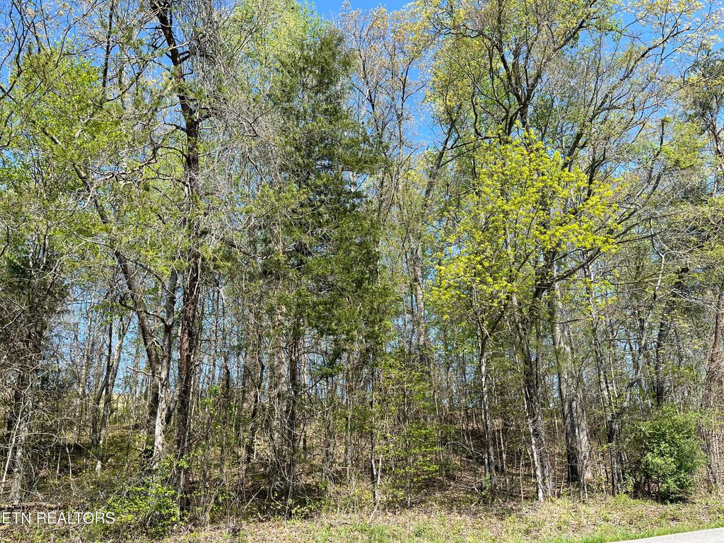 Photo of 101 Fairview Rd, Tellico Plains, TN 37385 (MLS # 1297231)