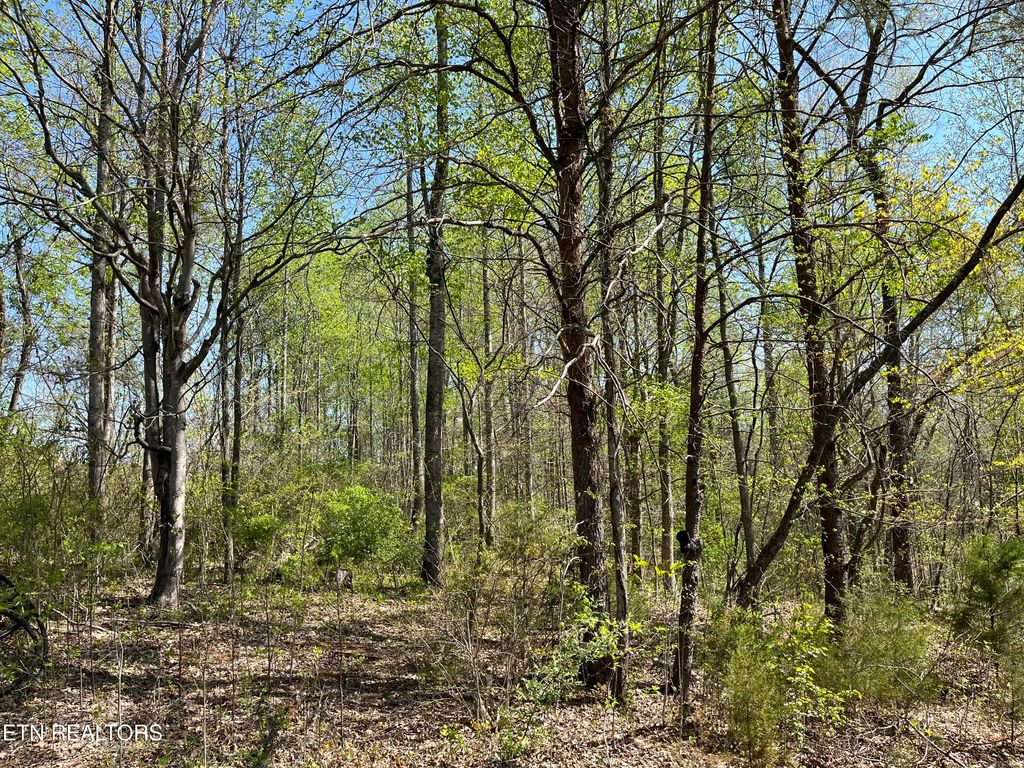 Photo of 101 Fairview Rd, Tellico Plains, TN 37385 (MLS # 1297231)