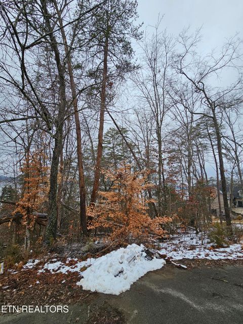 Kammann Cove Baneberry TN 37890