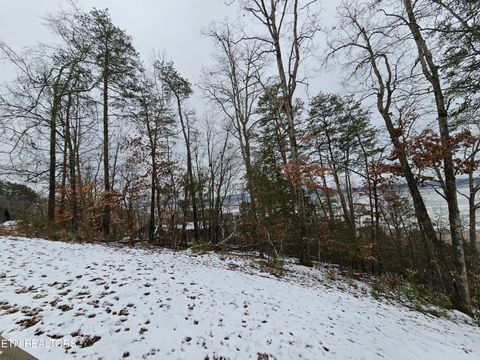 Tiny photo for Kammann Cove, Baneberry, TN 37890 (MLS # 1331948)