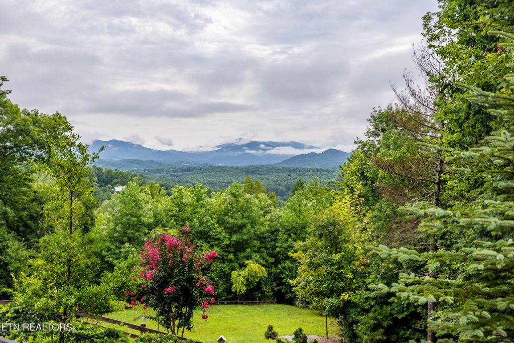 Photo of 612 Bear Den Rd, Townsend, TN 37882 (MLS # 1271442)