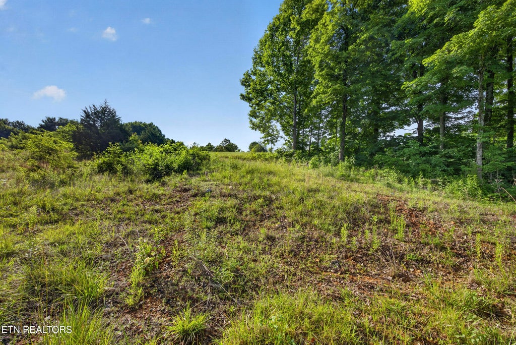 Photo of 226 Hidden Cove Lane, Allons, TN 38541 (MLS # 1343270)