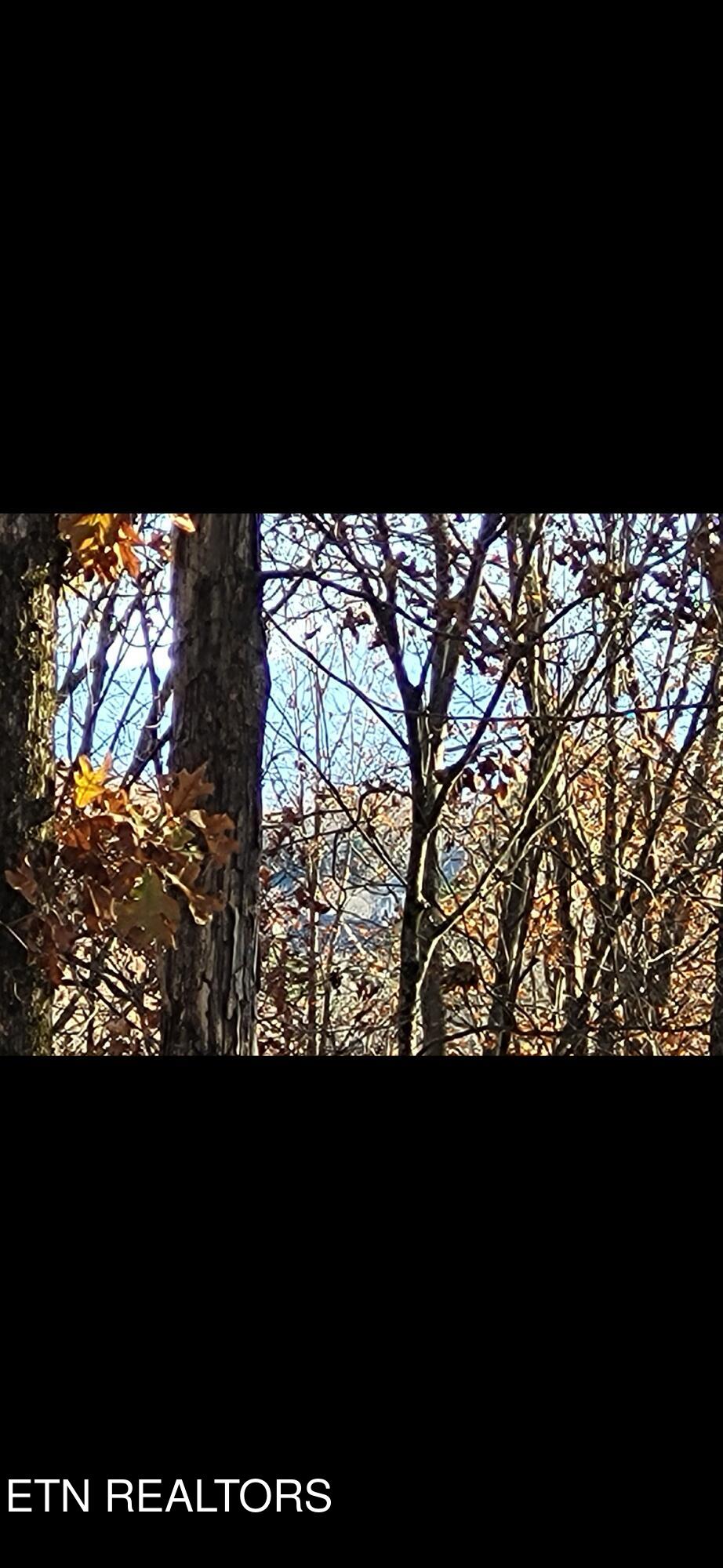 Vonore, Tennessee 37885, United States, ,Land,Active,124952