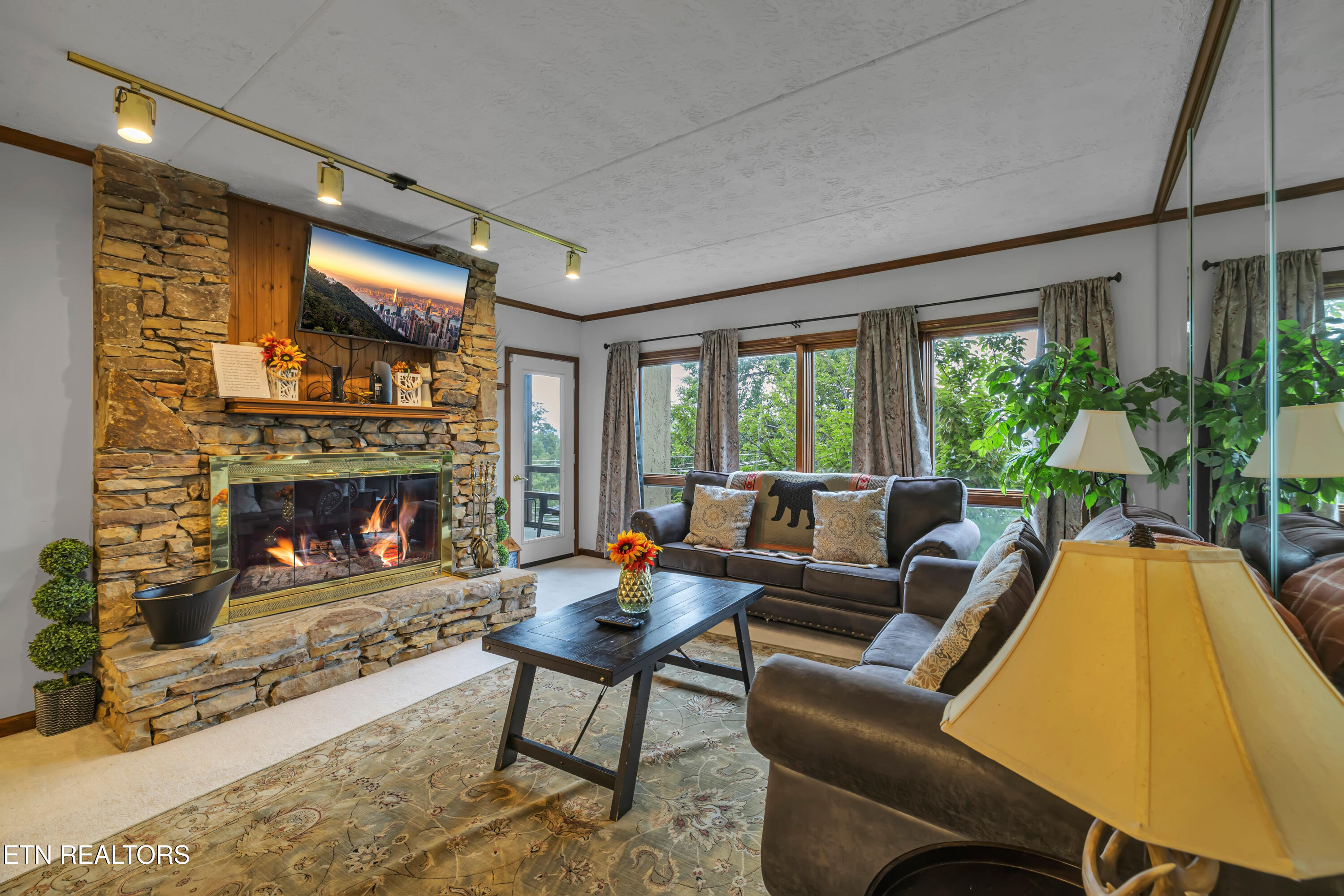 1130 Ski View Drive UNIT 111