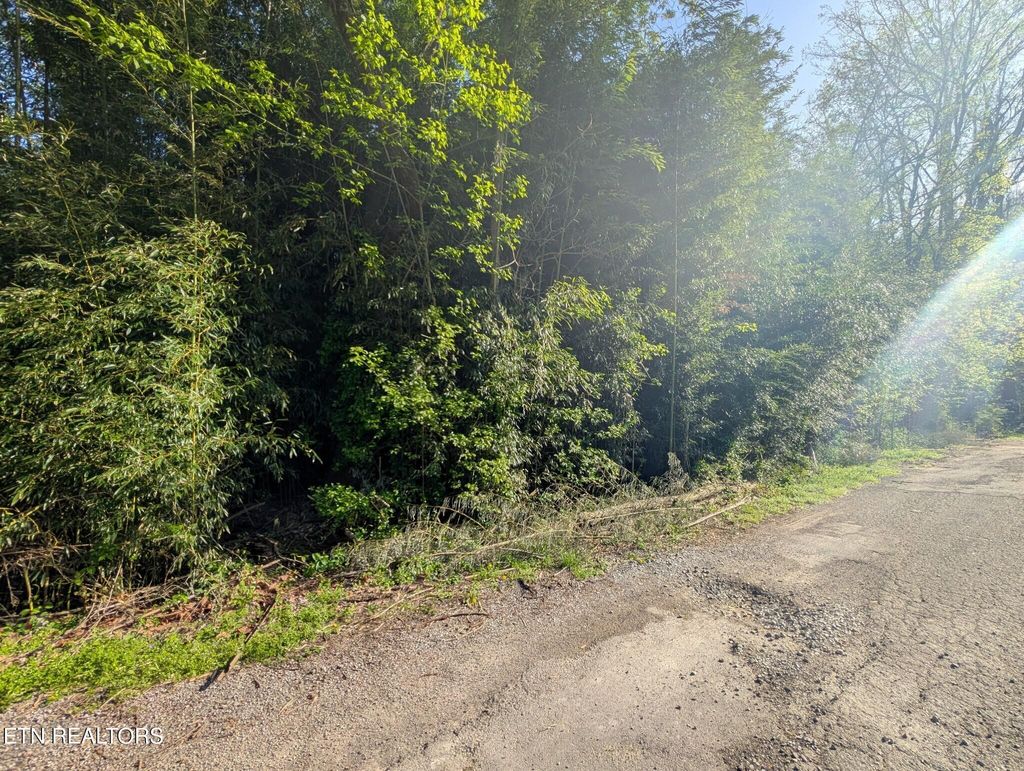 Photo of Lenoir Avenue S, Rockwood, TN 37854 (MLS # 1297367)