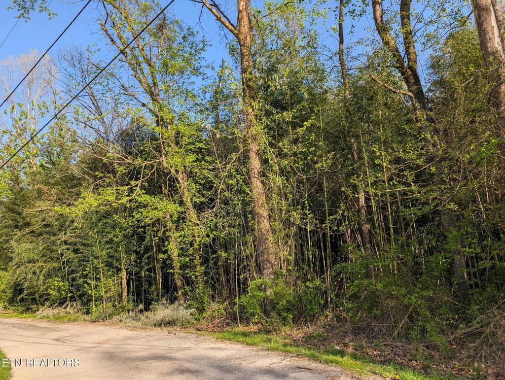 Photo of Lenoir Avenue S, Rockwood, TN 37854 (MLS # 1297367)