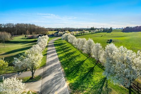 Tiny photo for 220 Wildwing Drive, Vonore, TN 37885 (MLS # 1337617)