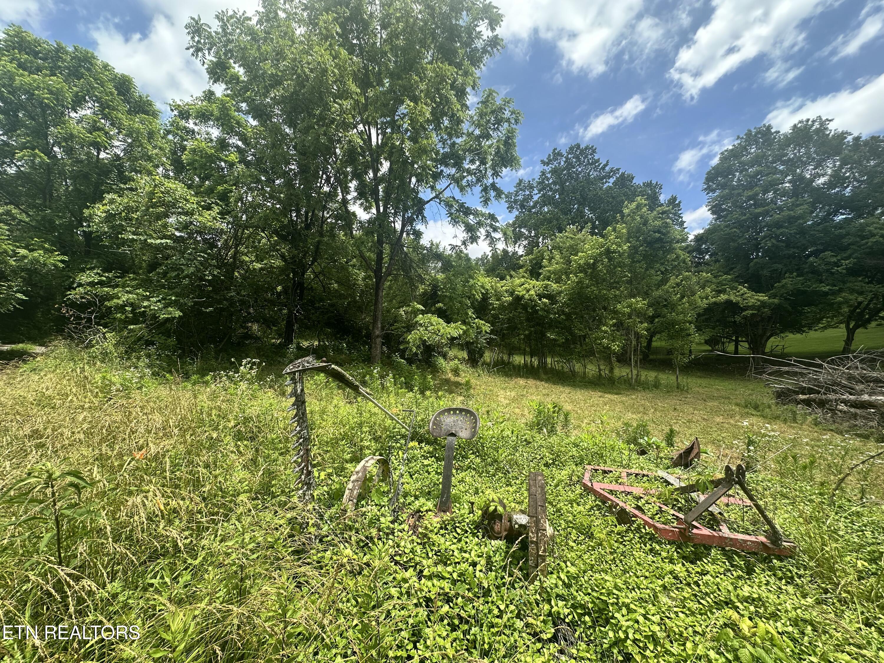 1123 Pleasant Ridge Rd
