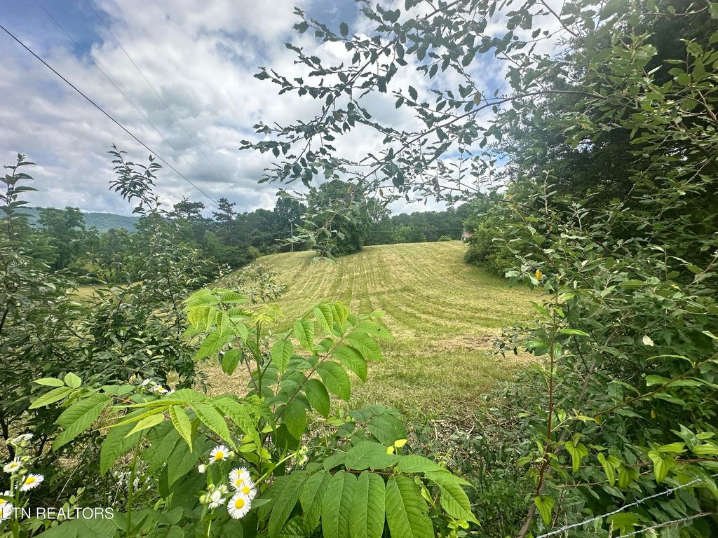Photo of 1123 Pleasant Ridge Rd, LaFollette, TN 37766 (MLS # 1305744)