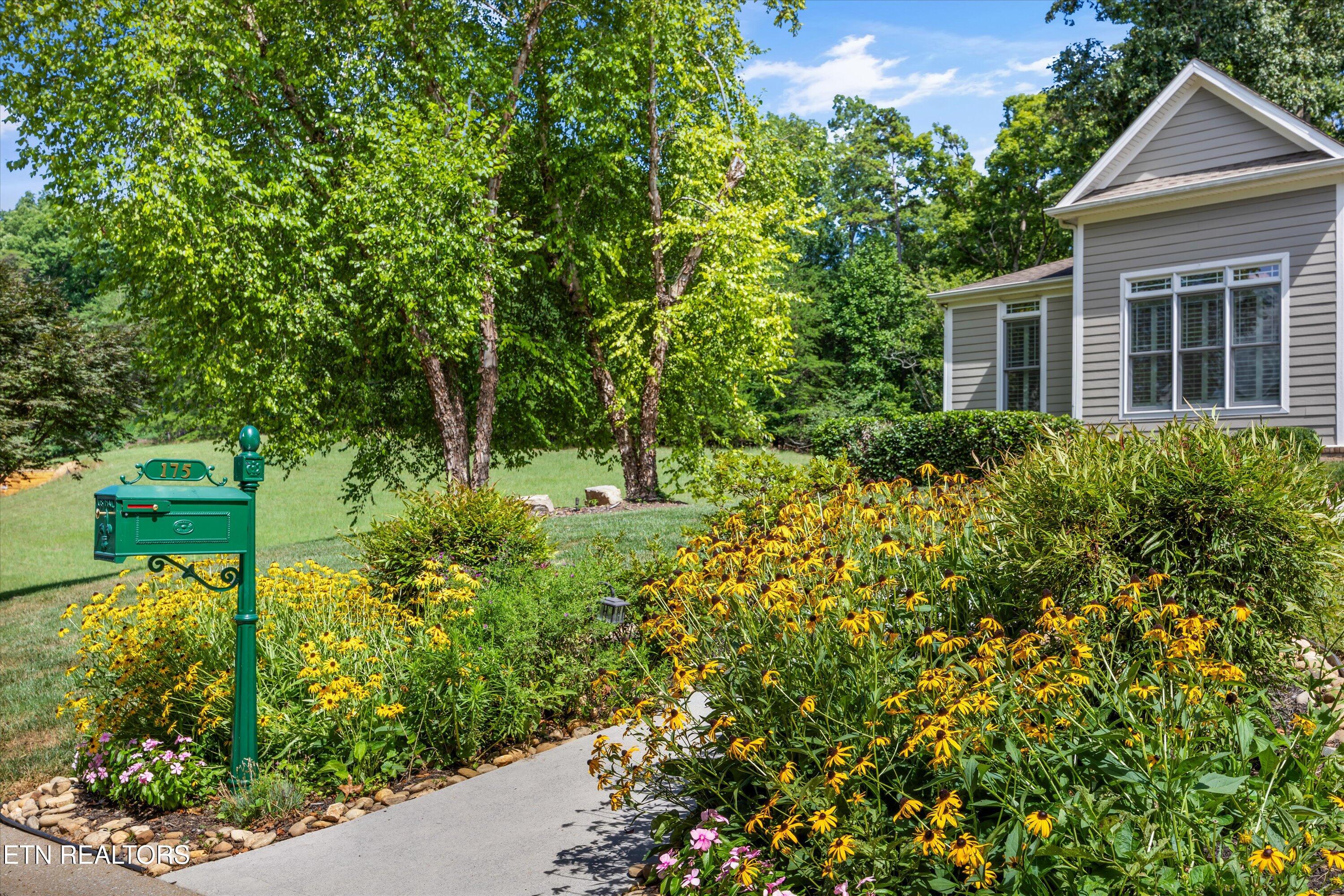 175 Conkinnon Drive