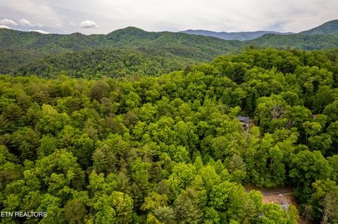 Tiny photo for 914 Stonegate Way, Townsend, TN 37882 (MLS # 1340146)