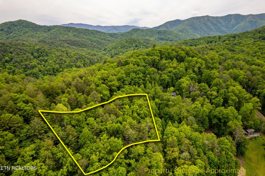 Photo of 914 Stonegate Way, Townsend, TN 37882 (MLS # 1340146)