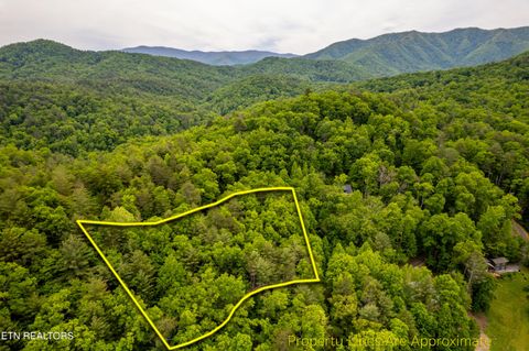Tiny photo for 914 Stonegate Way, Townsend, TN 37882 (MLS # 1340146)
