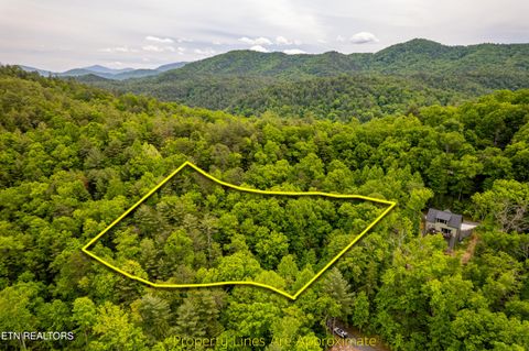 Tiny photo for 914 Stonegate Way, Townsend, TN 37882 (MLS # 1340146)