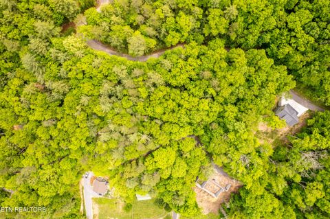Tiny photo for 914 Stonegate Way, Townsend, TN 37882 (MLS # 1340146)