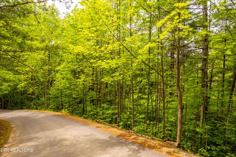 Photo of 914 Stonegate Way, Townsend, TN 37882 (MLS # 1340146)