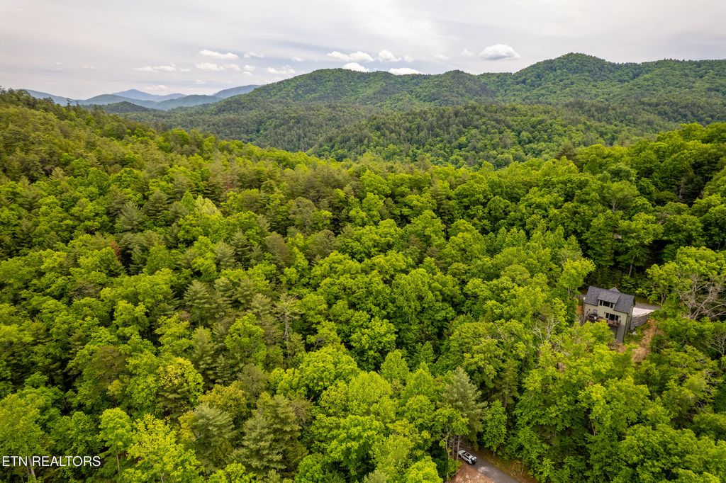 Photo of 914 Stonegate Way, Townsend, TN 37882 (MLS # 1340146)