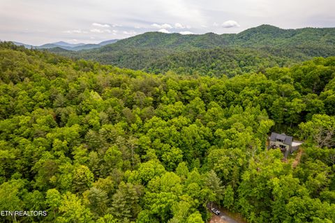 Tiny photo for 914 Stonegate Way, Townsend, TN 37882 (MLS # 1340146)
