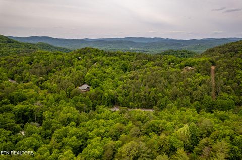 Tiny photo for 914 Stonegate Way, Townsend, TN 37882 (MLS # 1340146)