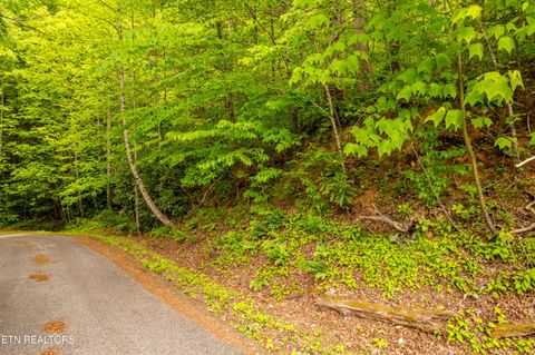 Tiny photo for 914 Stonegate Way, Townsend, TN 37882 (MLS # 1340146)
