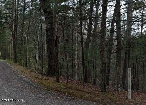 Tiny photo for 0 Old Hickory Lane, Coker Creek, TN 37314 (MLS # 1340472)