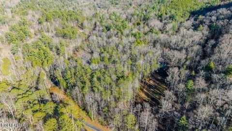 Tiny photo for 0 Old Hickory Lane, Coker Creek, TN 37314 (MLS # 1340472)