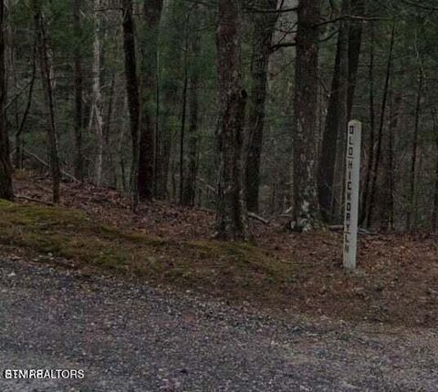 Photo of 0 Old Hickory Lane, Coker Creek, TN 37314 (MLS # 1340472)