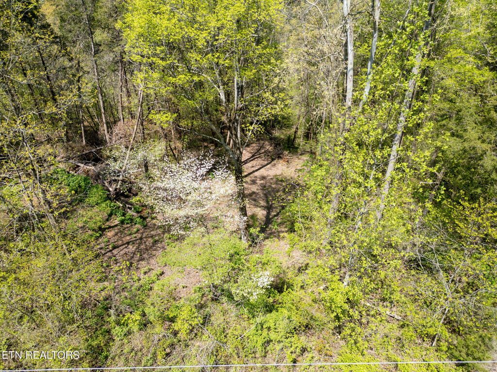 Photo of Highland Trace Rd, Sharps Chapel, TN 37866 (MLS # 1306238)