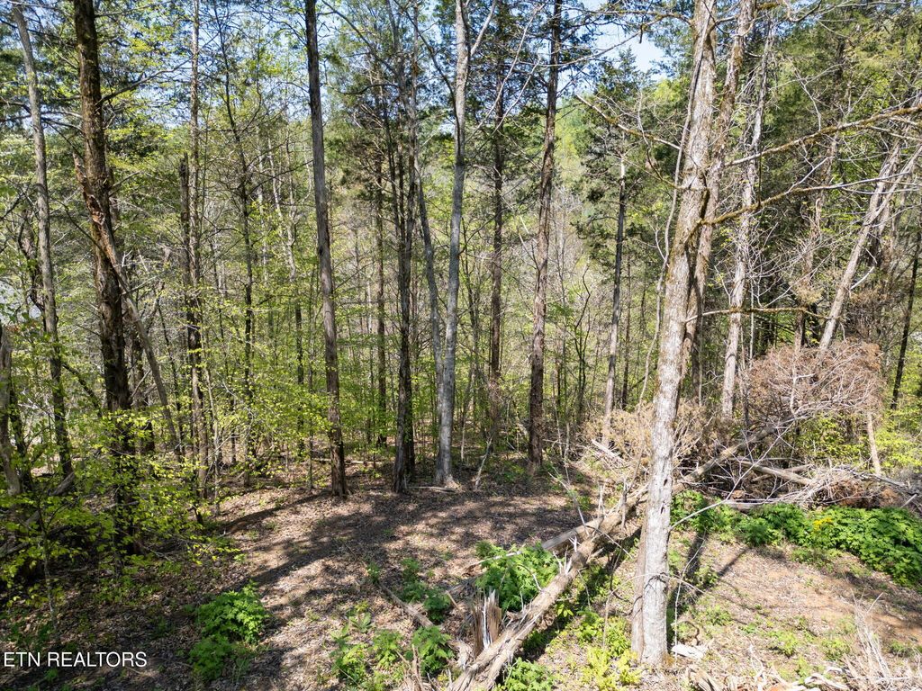 Photo of Highland Trace Rd, Sharps Chapel, TN 37866 (MLS # 1306238)