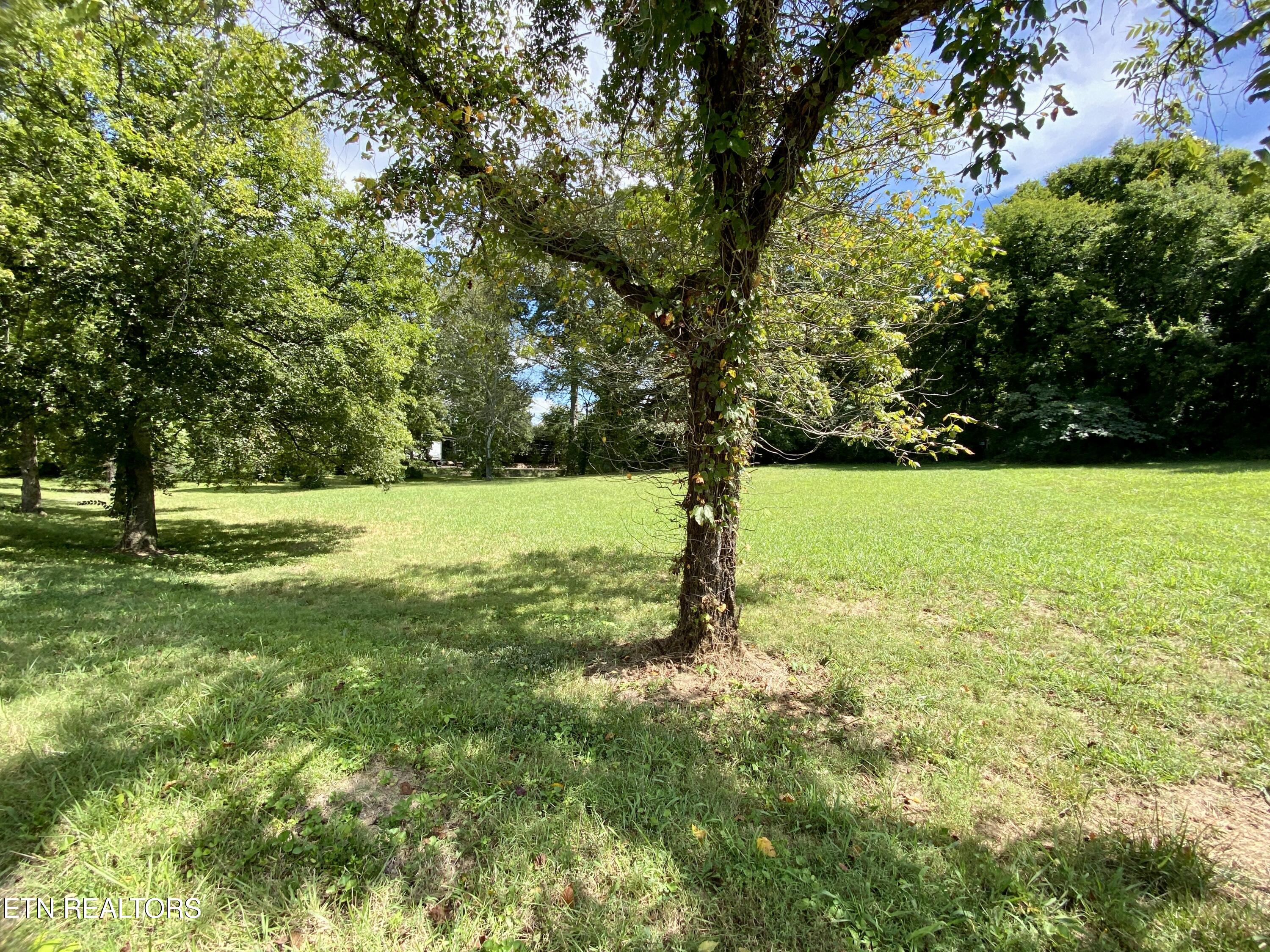 1407 Montvale Rd