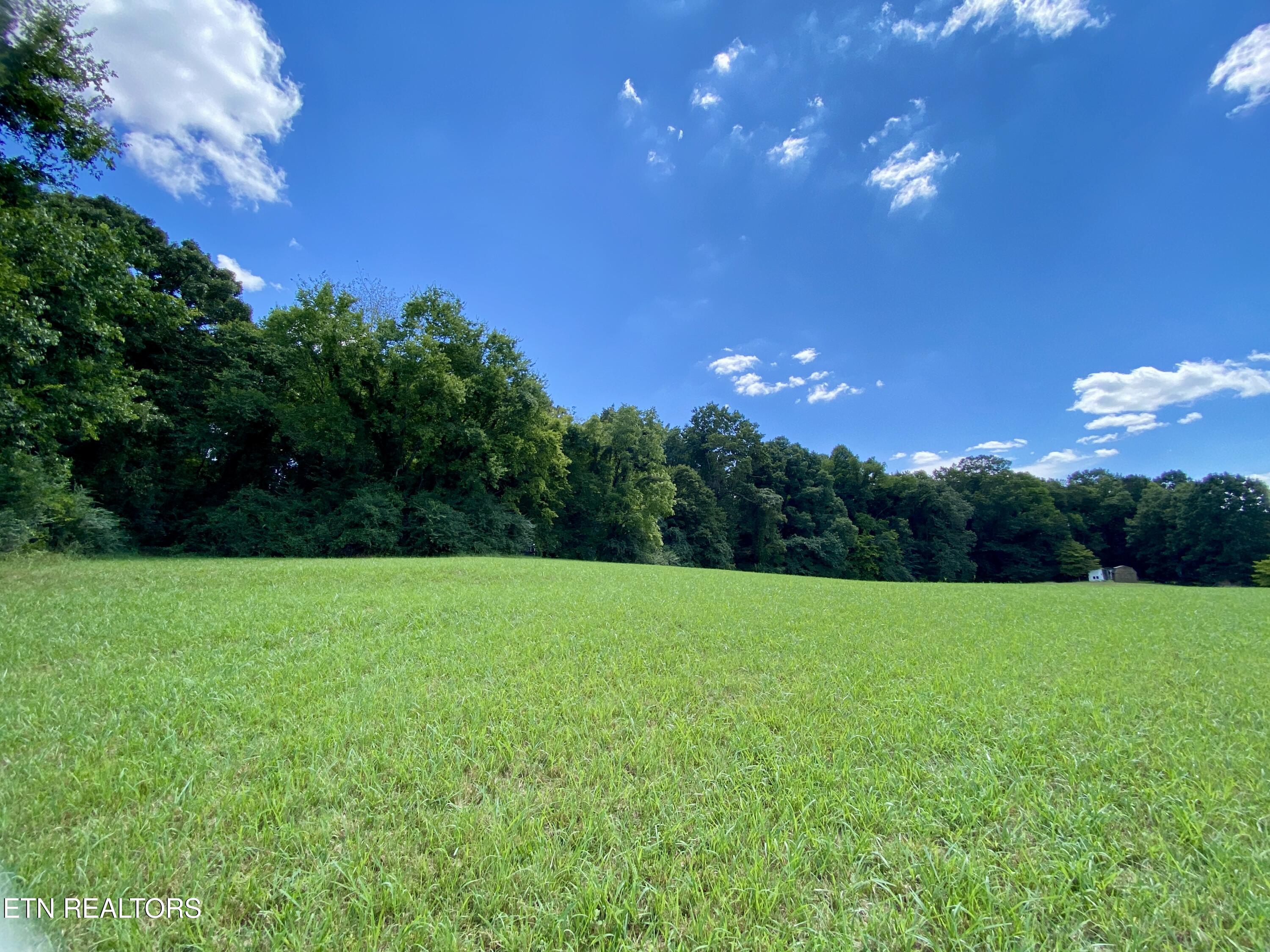 1407 Montvale Rd