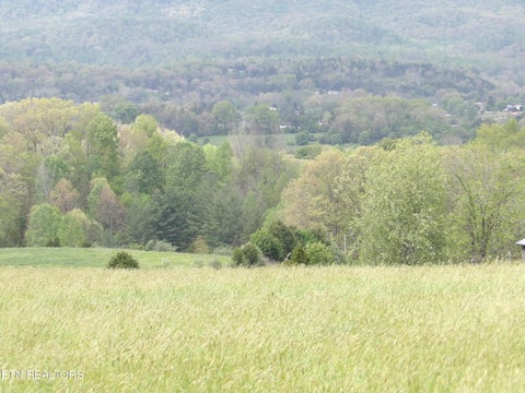 Tiny photo for TBD Bolton Hollow Rd, Harrogate, TN 37752 (MLS # 1337591)