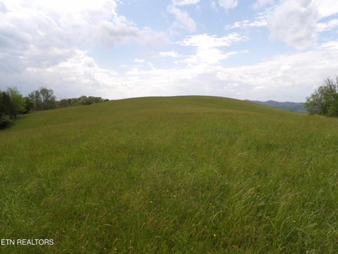 Tiny photo for TBD Bolton Hollow Rd, Harrogate, TN 37752 (MLS # 1337591)