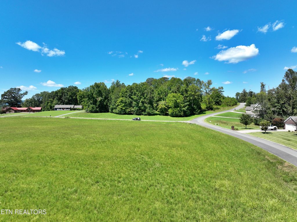 Photo of 3335 Spring Harbor Drive, Spring City, TN 37381 (MLS # 1313836)