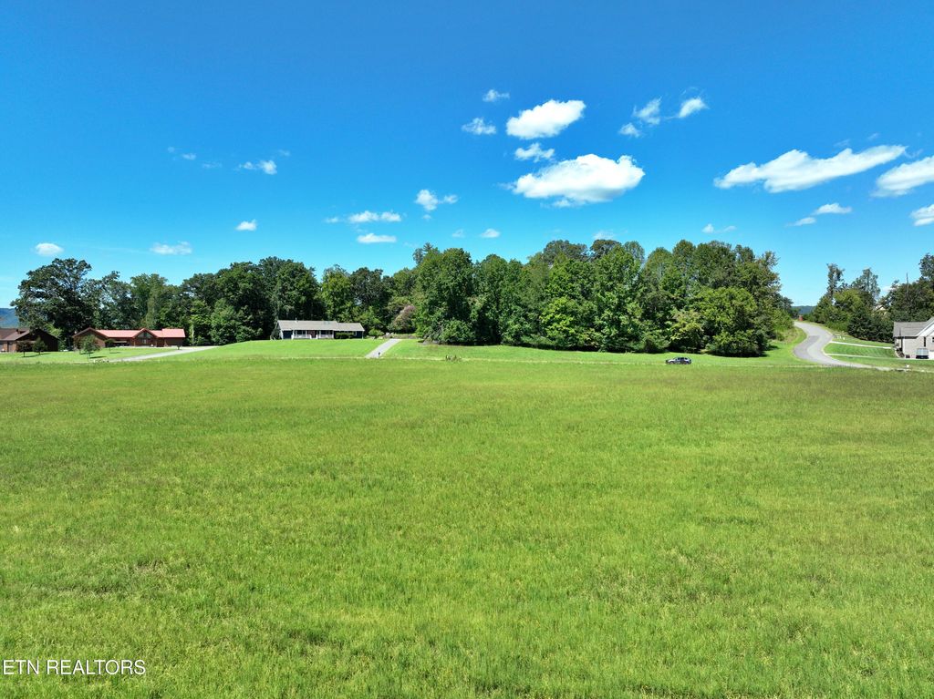 Photo of 3335 Spring Harbor Drive, Spring City, TN 37381 (MLS # 1313836)