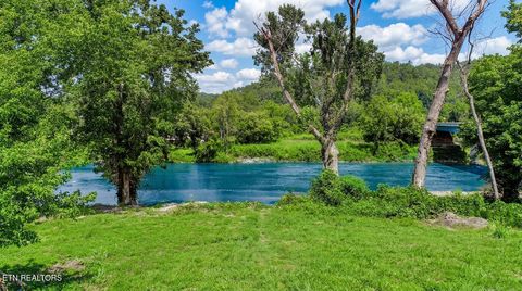 Tiny photo for 151 S Hwy 107, Del Rio, TN 37727 (MLS # 1310883)