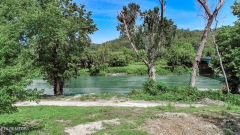Tiny photo for 151 S Hwy 107, Del Rio, TN 37727 (MLS # 1310883)