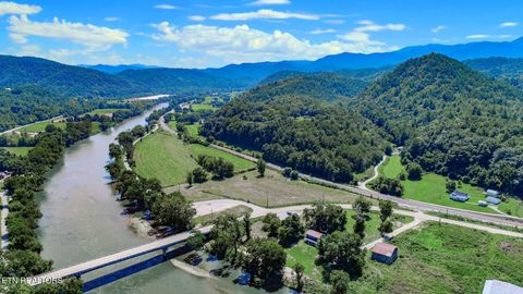 Tiny photo for 151 S Hwy 107, Del Rio, TN 37727 (MLS # 1310883)