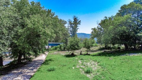 Tiny photo for 151 S Hwy 107, Del Rio, TN 37727 (MLS # 1310883)