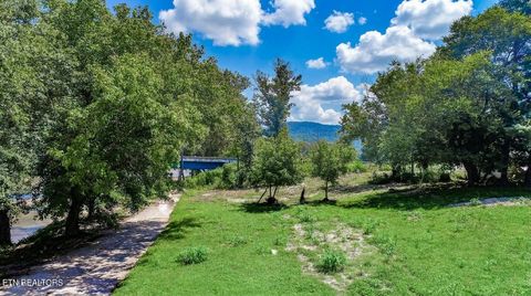 Tiny photo for 151 S Hwy 107, Del Rio, TN 37727 (MLS # 1310883)