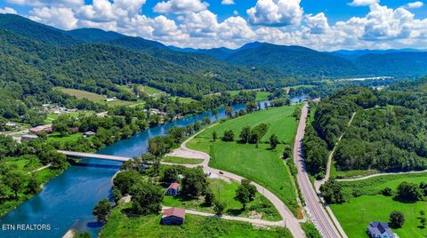 Tiny photo for 151 S Hwy 107, Del Rio, TN 37727 (MLS # 1310883)