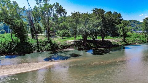 Tiny photo for 151 S Hwy 107, Del Rio, TN 37727 (MLS # 1310883)