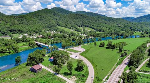 Tiny photo for 151 S Hwy 107, Del Rio, TN 37727 (MLS # 1310883)