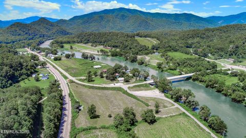 Tiny photo for 151 S Hwy 107, Del Rio, TN 37727 (MLS # 1310883)