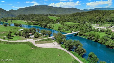 Tiny photo for 151 S Hwy 107, Del Rio, TN 37727 (MLS # 1310883)